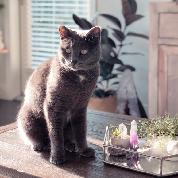 Take a look around! - Picture 3 of 3